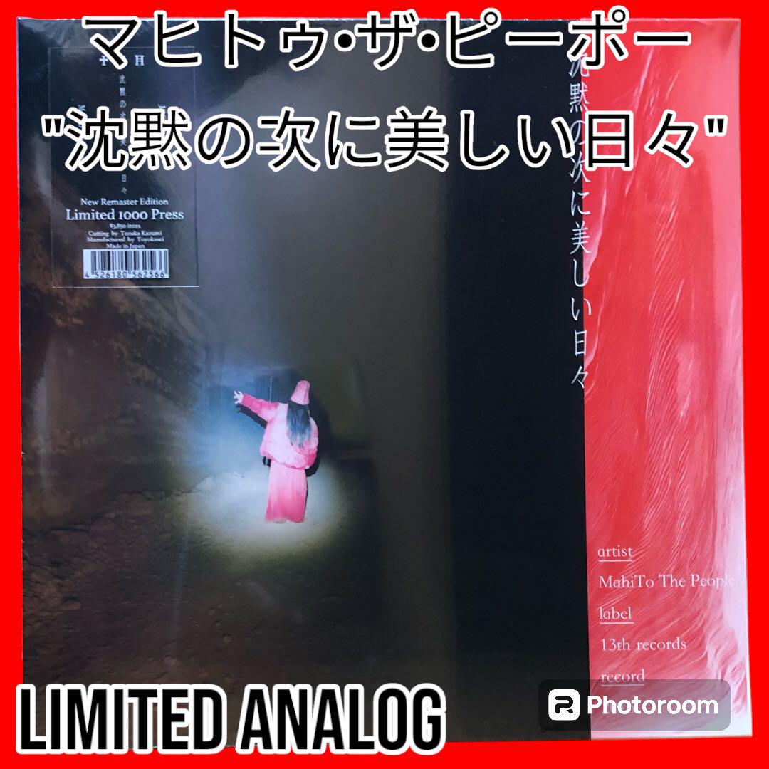 マヒトゥ・ザ・ピーポー 沈黙の次に美しい日々 アナログ GEZAN