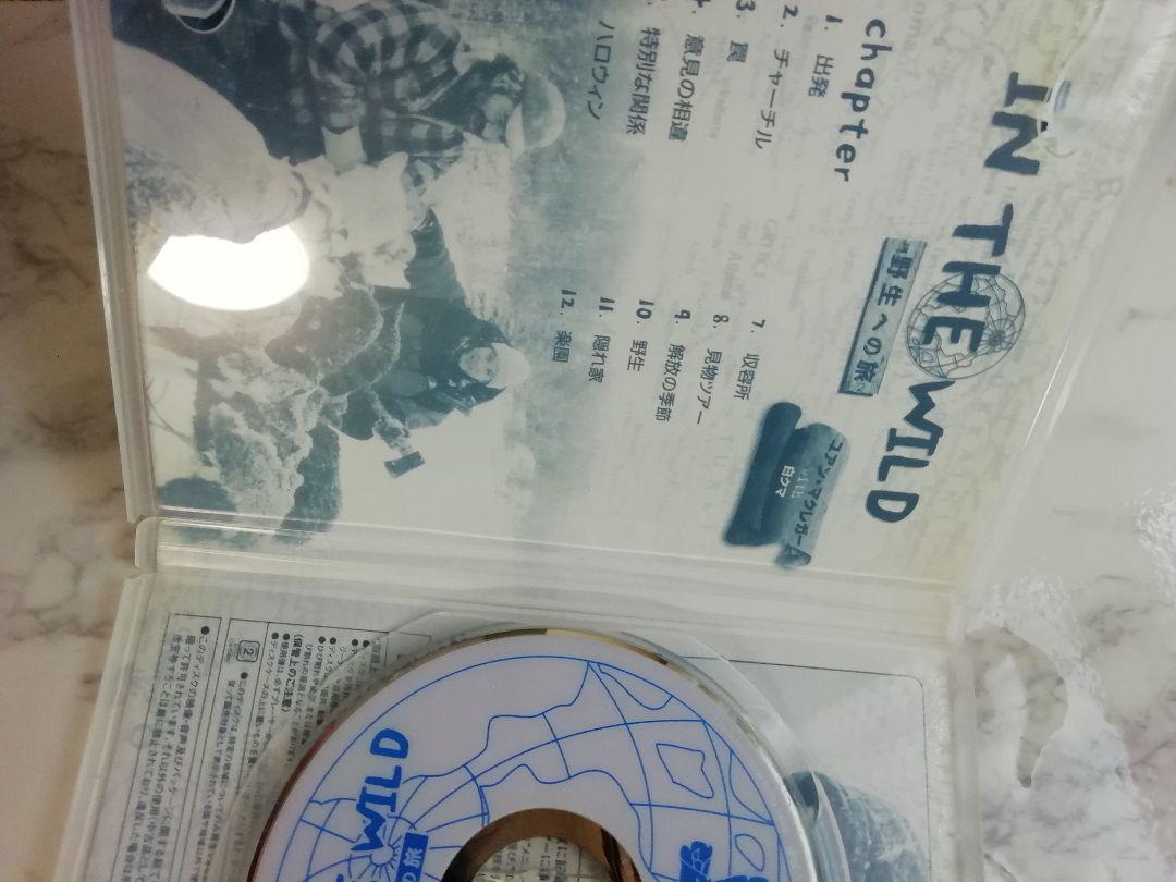 ユアンマクレガーwith白くま　in the wild 野生への旅 DVD日本版