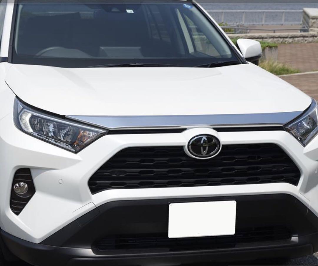 RAV4 50系 ボンネットガーニッシュ【E22b】