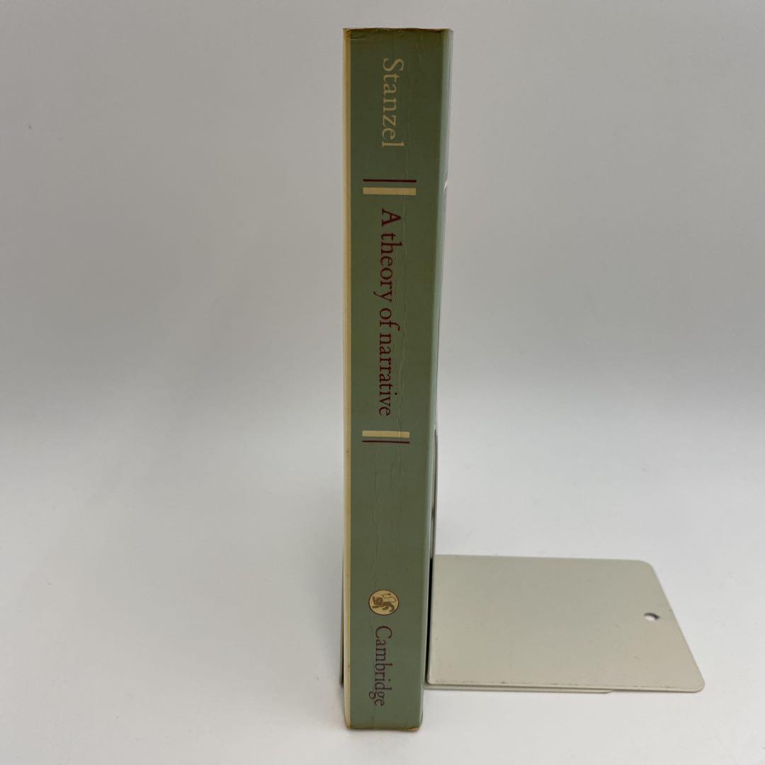 A theory of narrative