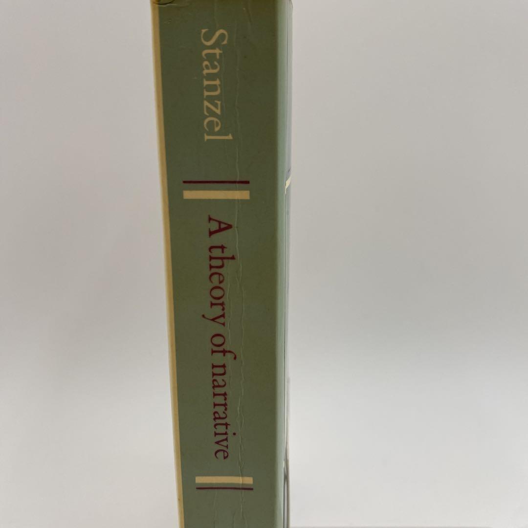 A theory of narrative