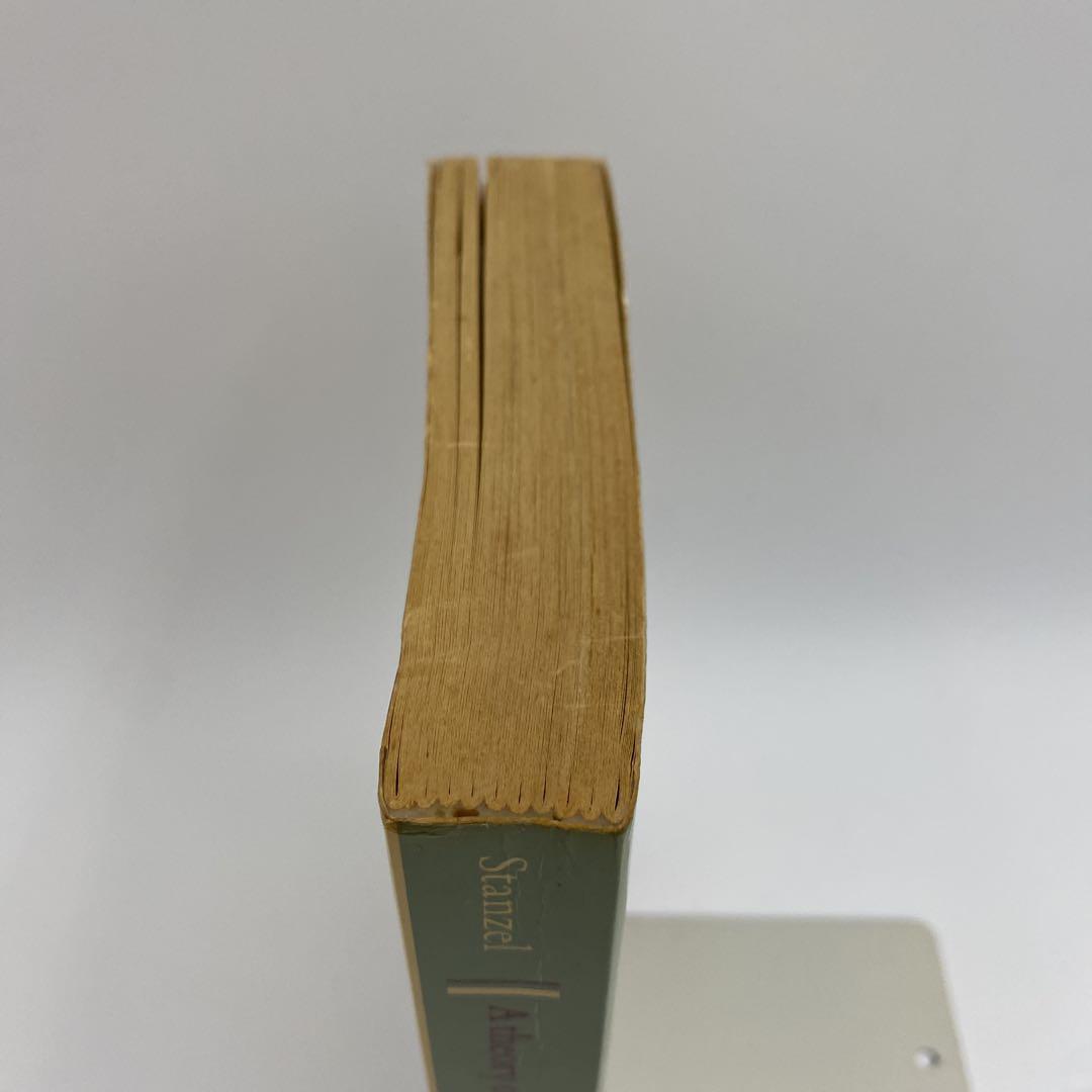 A theory of narrative