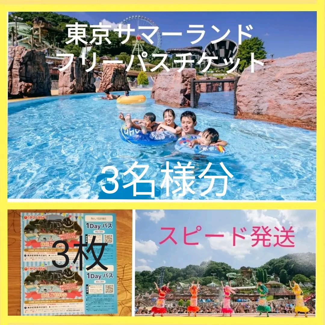 ◎東京サマーランド【3名様無料】 ☆プールも遊園地も遊び放題 メルカリ便 - webstartup.com.br ◎東京サマーランド【3名様無料】 ☆プールも遊園地も遊び放題 メルカリ便 - webstartup.com.br