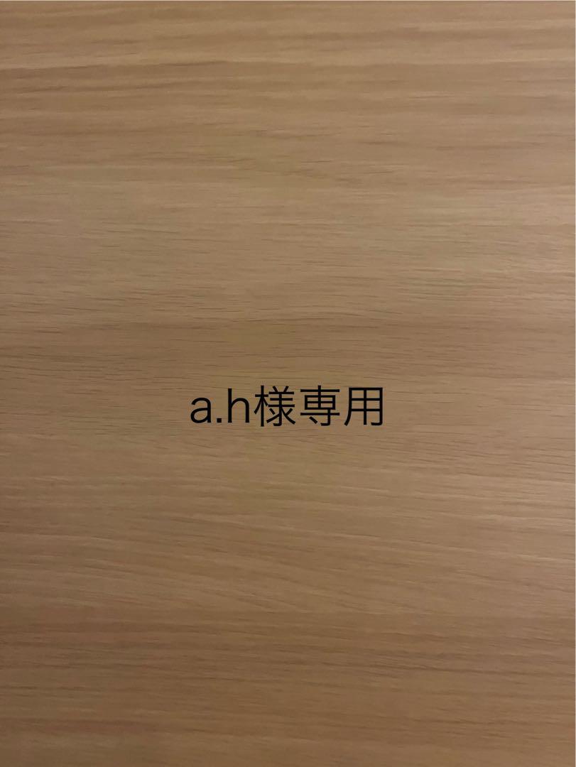 専用ページ