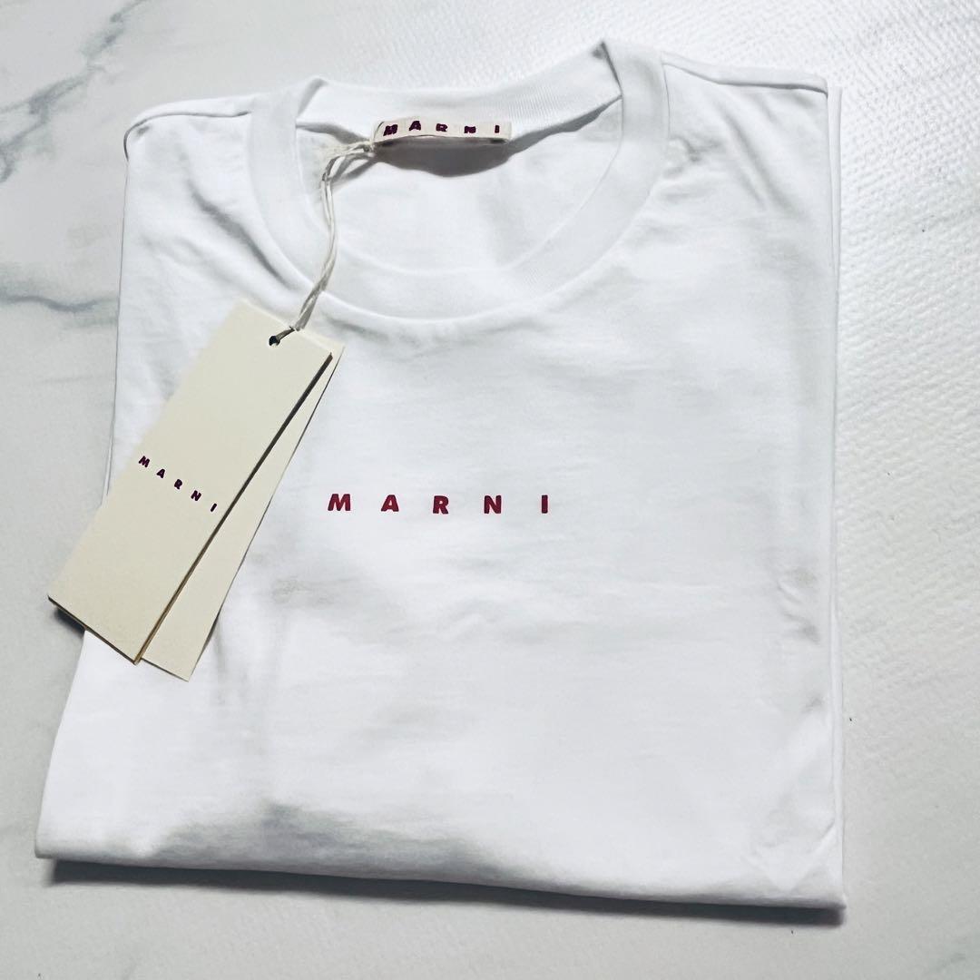 人気 残り１点 MARNI マルニ キッズ Tシャツロゴ ホワイト14y