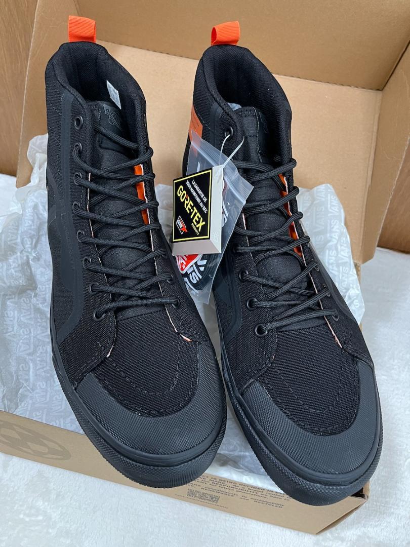 SK8-HI GTX