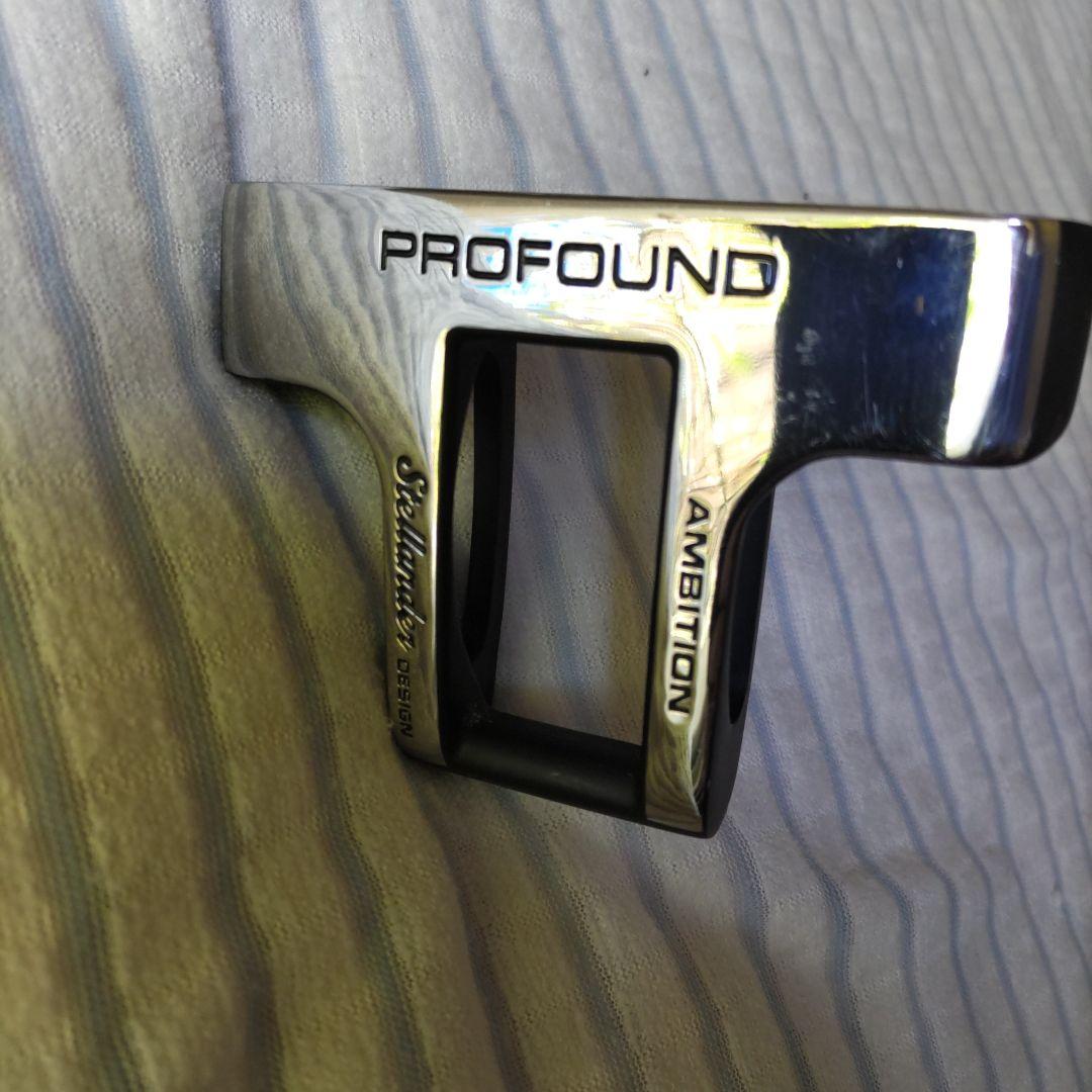 PROFOUND AMBITION パター