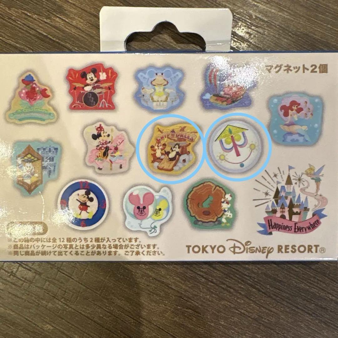 ディズニー　テーマランド　マグネット　セット 公式】デコレーションマグネットセット｜おすすめグッズ | 東京