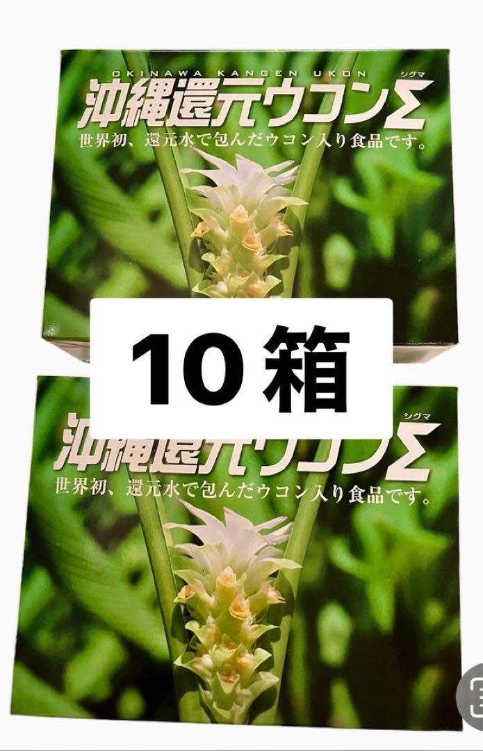 沖縄産ウコン 10箱 450mg