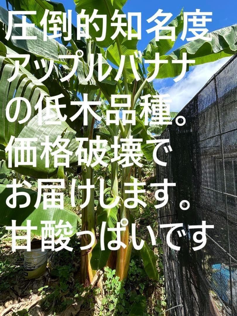 アップルバナナ