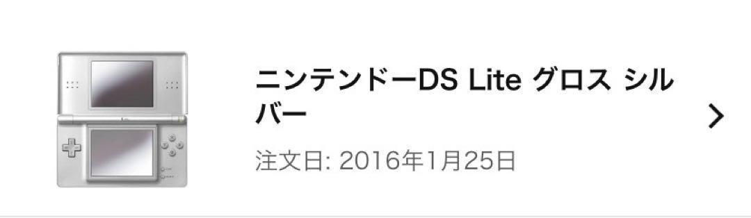 Nintendo DS Lite 本体グロスシルバー