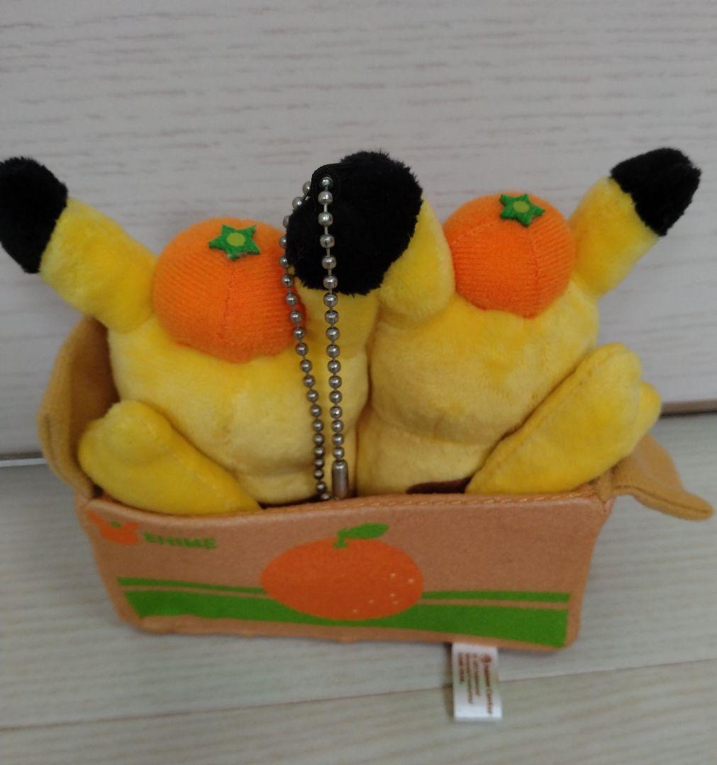 【4点セット】ポケモンのぬいぐるみ