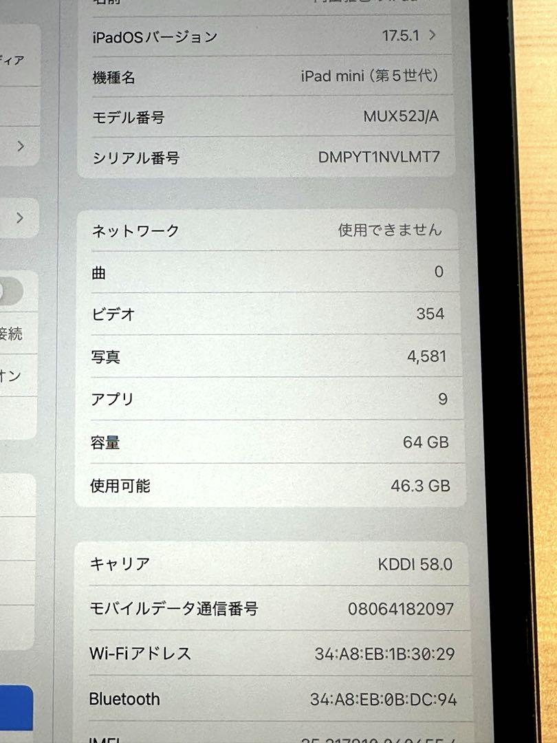 iPad mini 5 wifi+セルラー◾️スペースグレイ◾️本体◾️美品おまけ付き