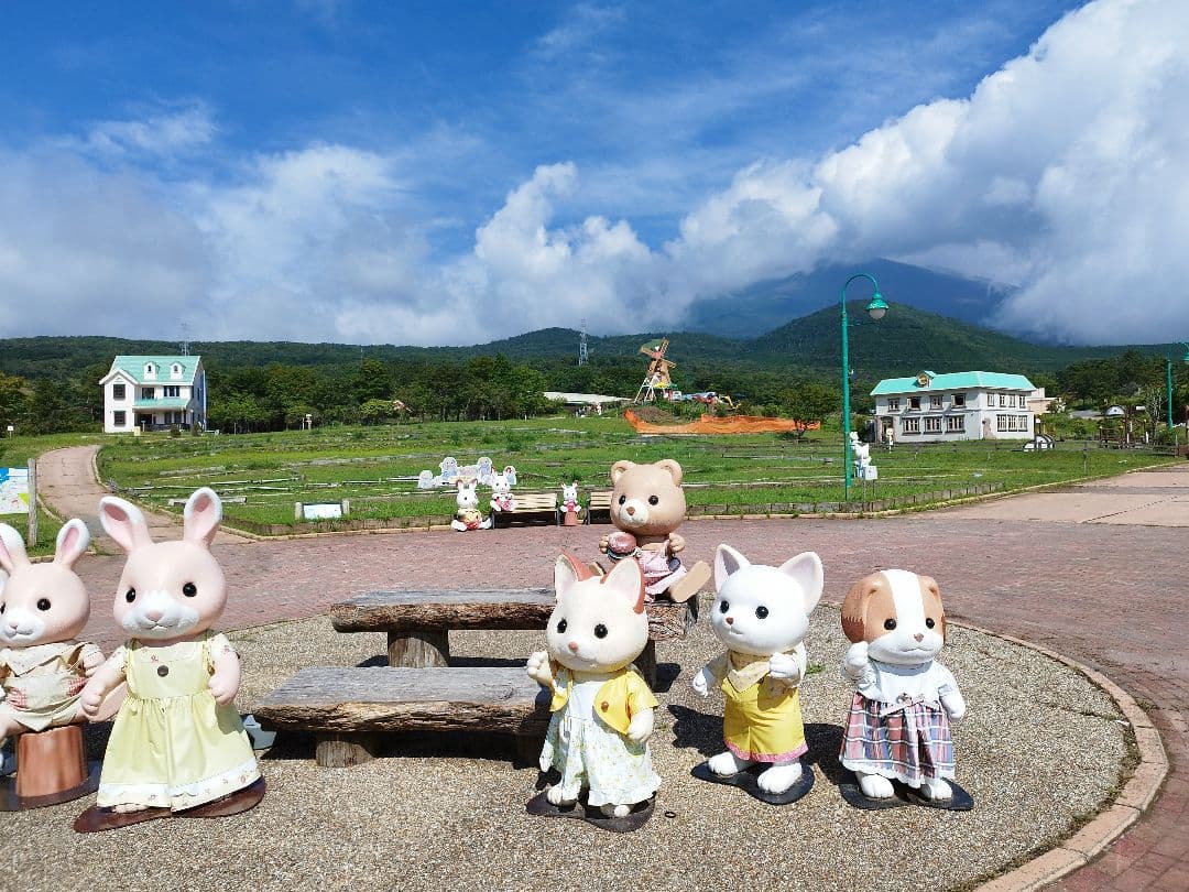 ぐりんぱ限定）シルバニアまとめ売り4点セット