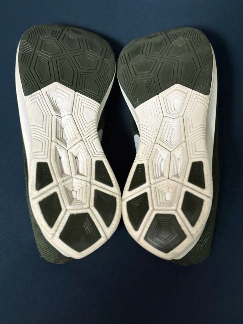 ナイキ ズームフライ