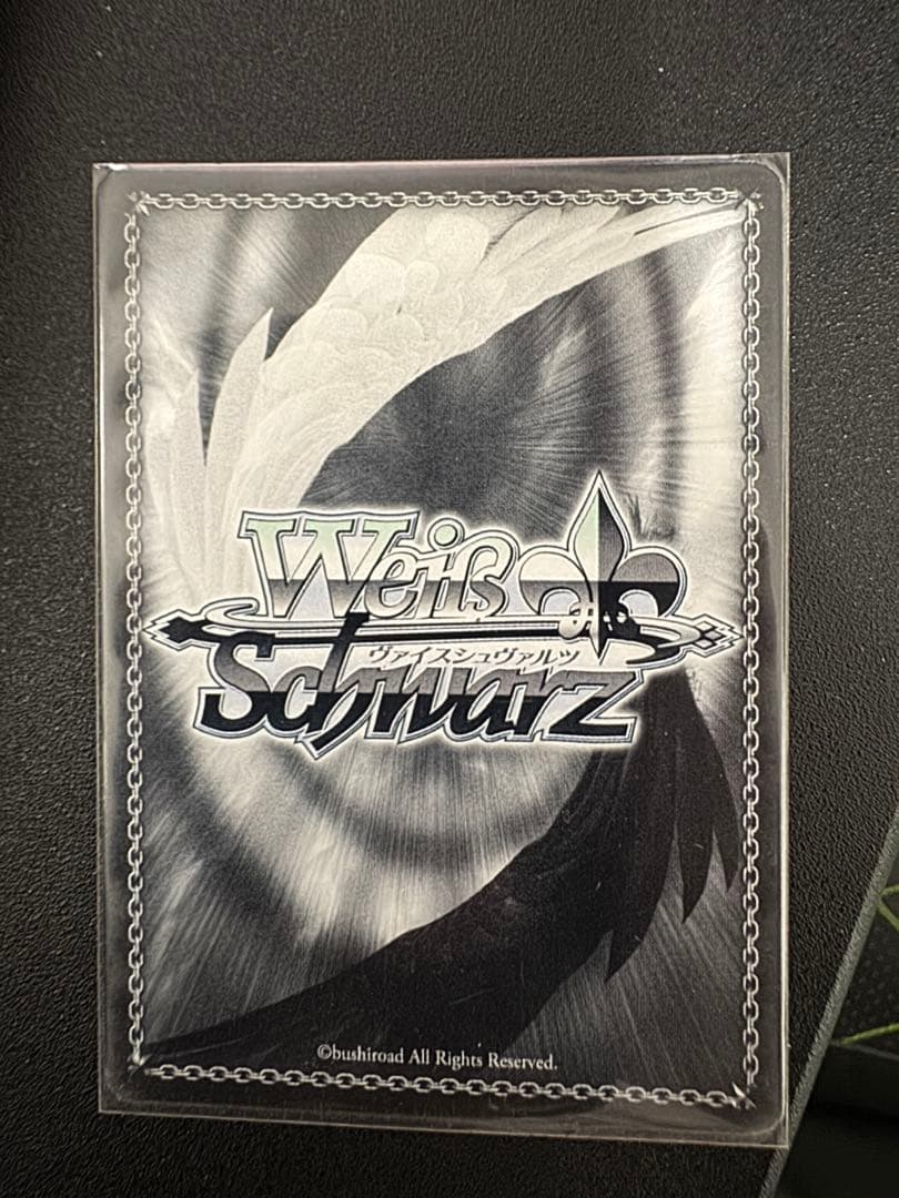 ヴァイスシュヴァルツ 聖国のルイズ