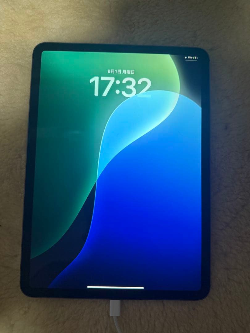 iPad Pro 第1世代　(11インチ)