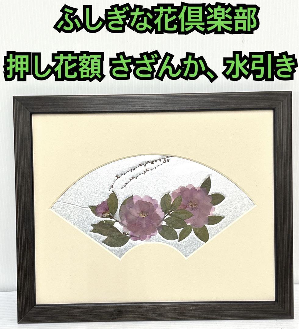ハンドメイド 押し花 額 ふしぎな花倶楽部