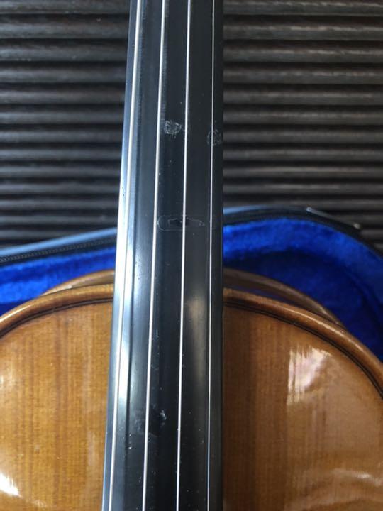STENTOR バイオリン1/2+弓＋ケース