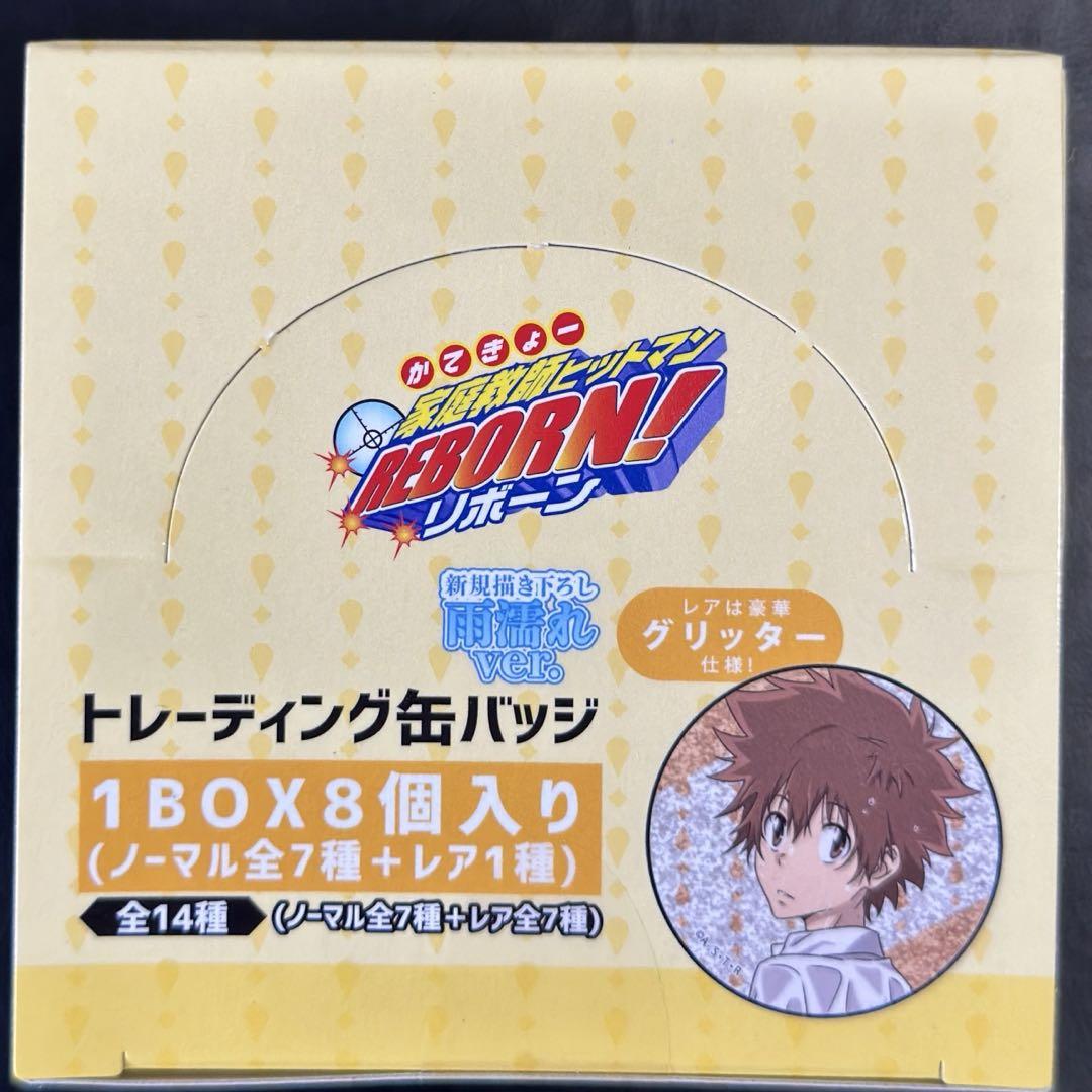 家庭教師 ヒットマン REBORN 缶バッジ 雨濡れ 2BOX ピンズ・ピンバッジ・缶バッジ