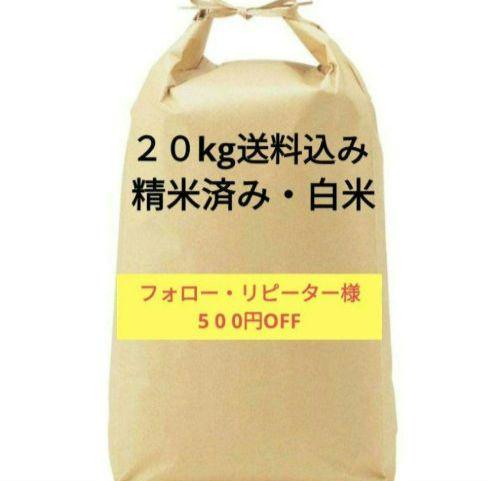 楽天市場】【予約 4月上旬よりクール便発送予定】 生 花山椒 約