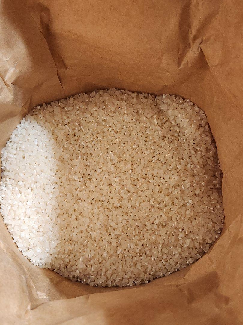滋賀県産令和6年産キヌヒカリ(白米)5kg 近江米