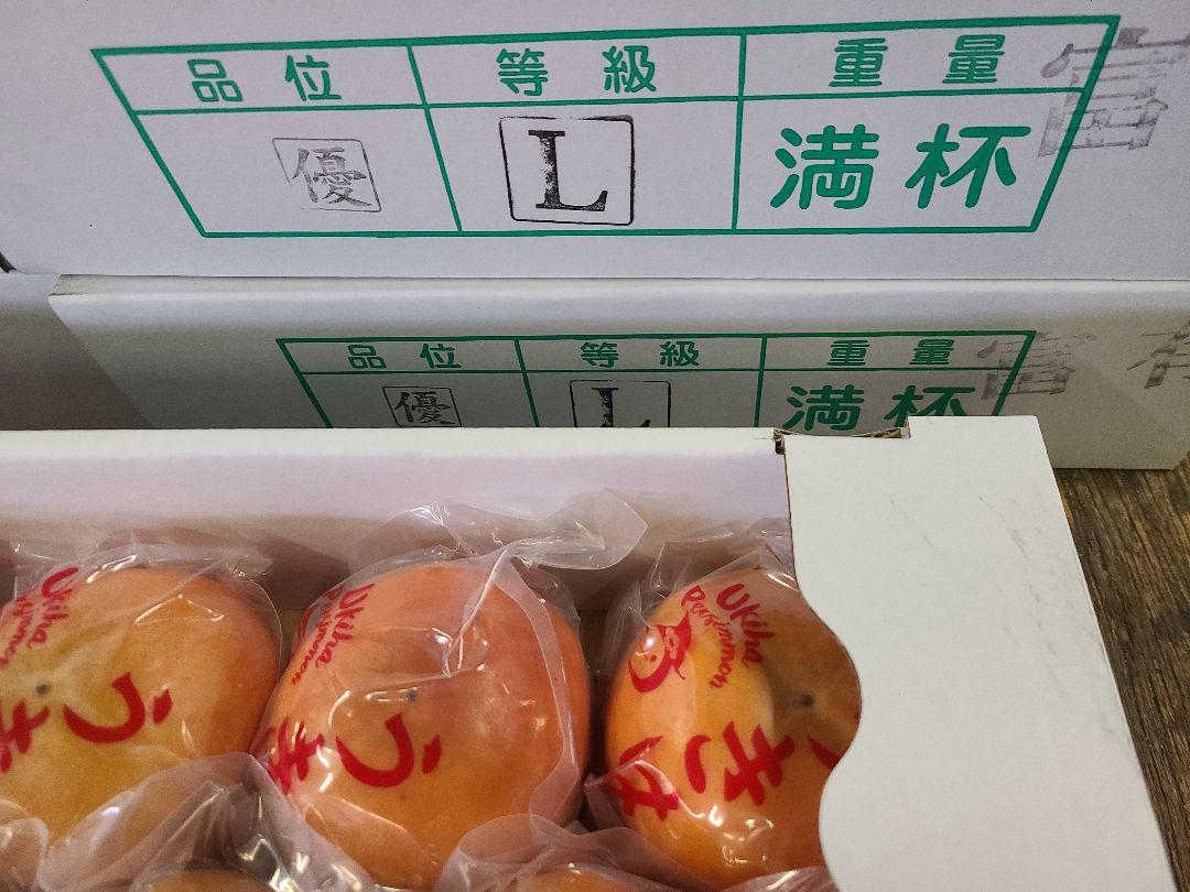 特級 Lサイズ 柿 20個入りが2箱