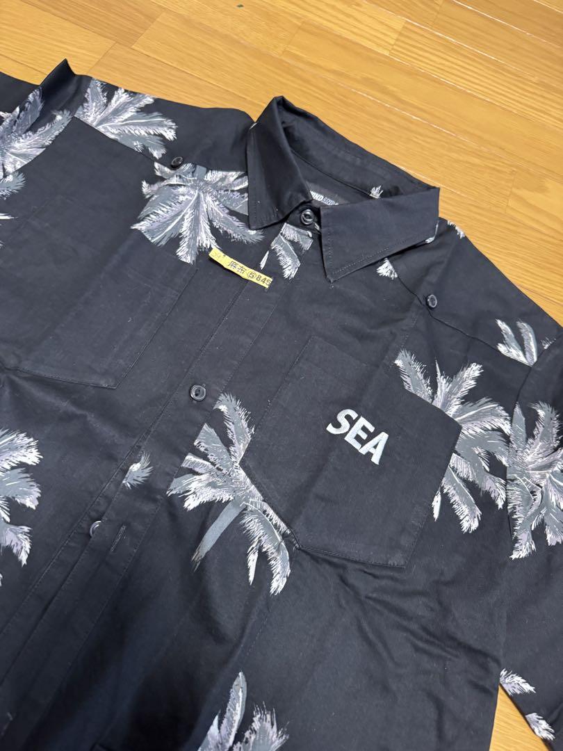 Palm tree