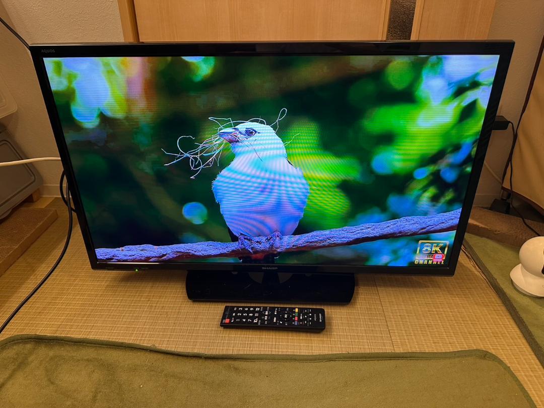 SHARP シャープ　32型　テレビ 2T-C32AE1 2019年製　超美品！