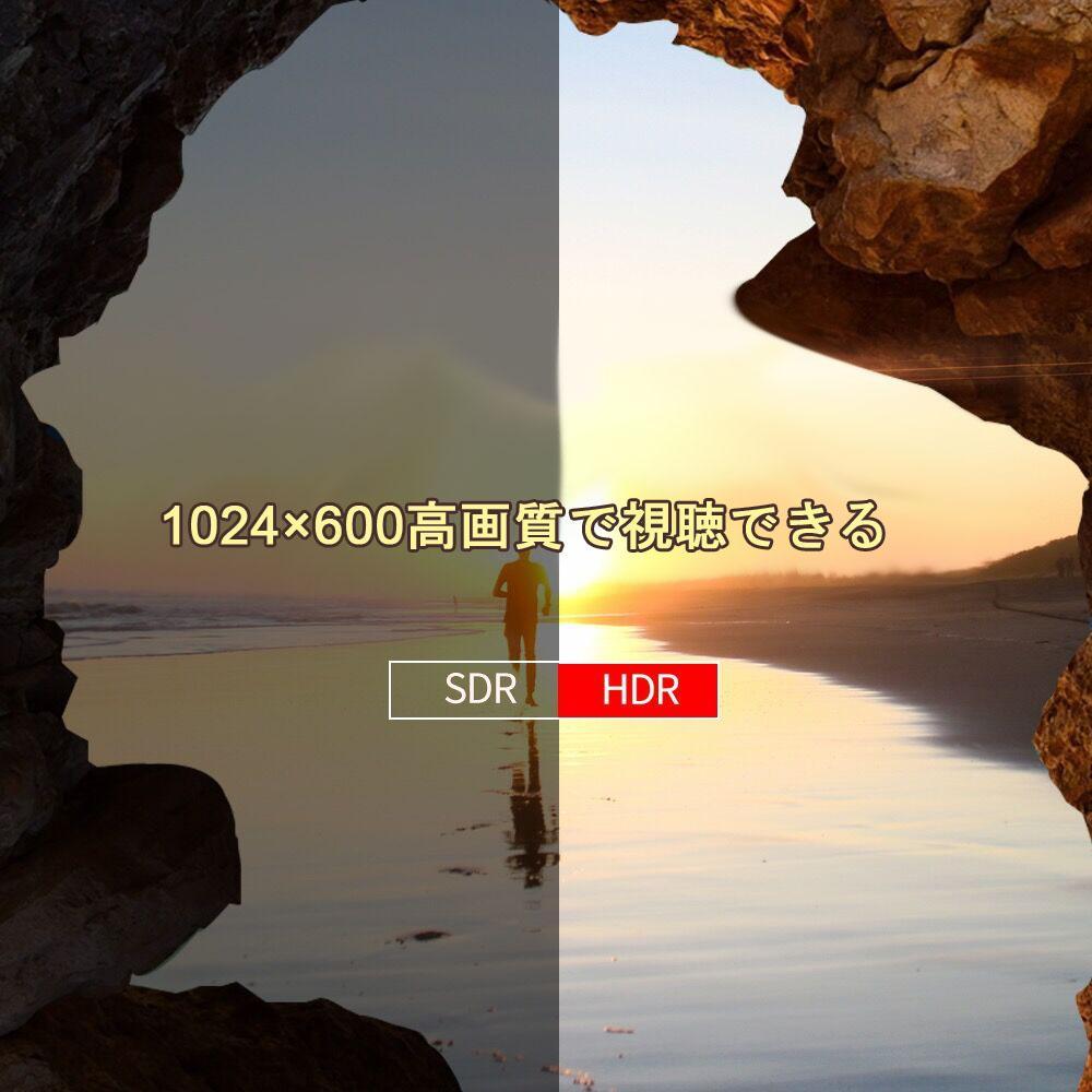 12.6型 DVDポータブル 大画面CPRM対応  リージョンフリー AV入出力