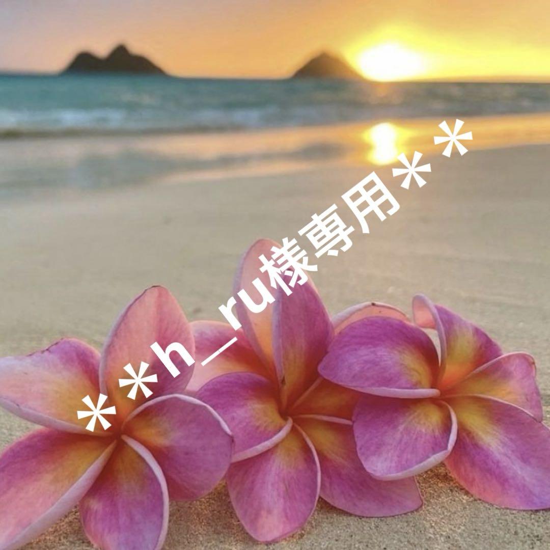 h__ruページ 折りたたみ エコバッグ グレー ６個おまとめページ