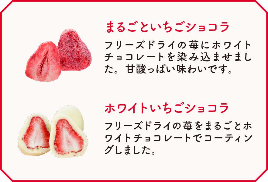 松風屋　いちごの日　 バレンタインチョコ　缶　箱