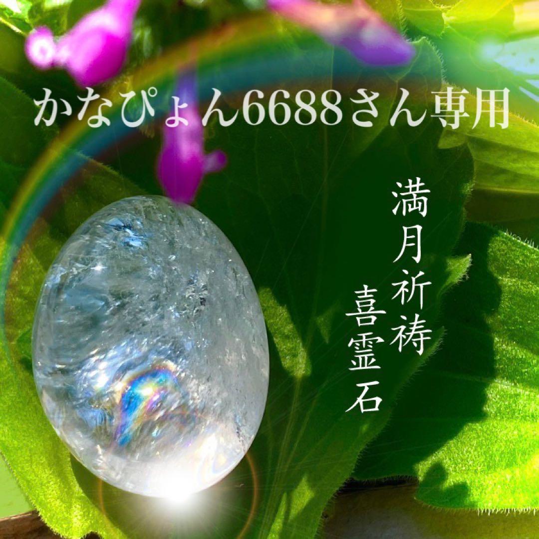 かなぴょん6688 様専用 www.npdwork.net