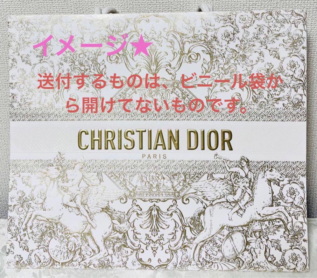クリスチャン ディオール 2023 ホリデー ショッパー 紙袋 中