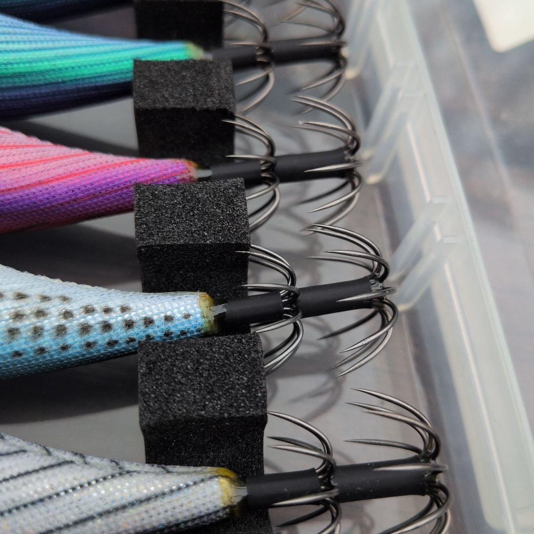 パープルボーダー