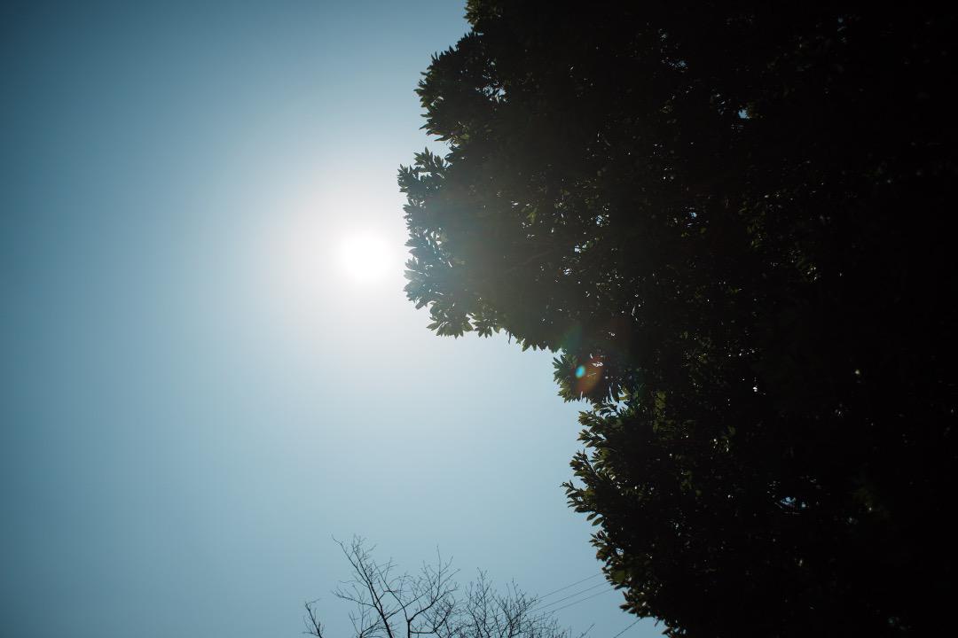 【希少・極美品】動作◎ SMC Takumar 24mm F3.5 961