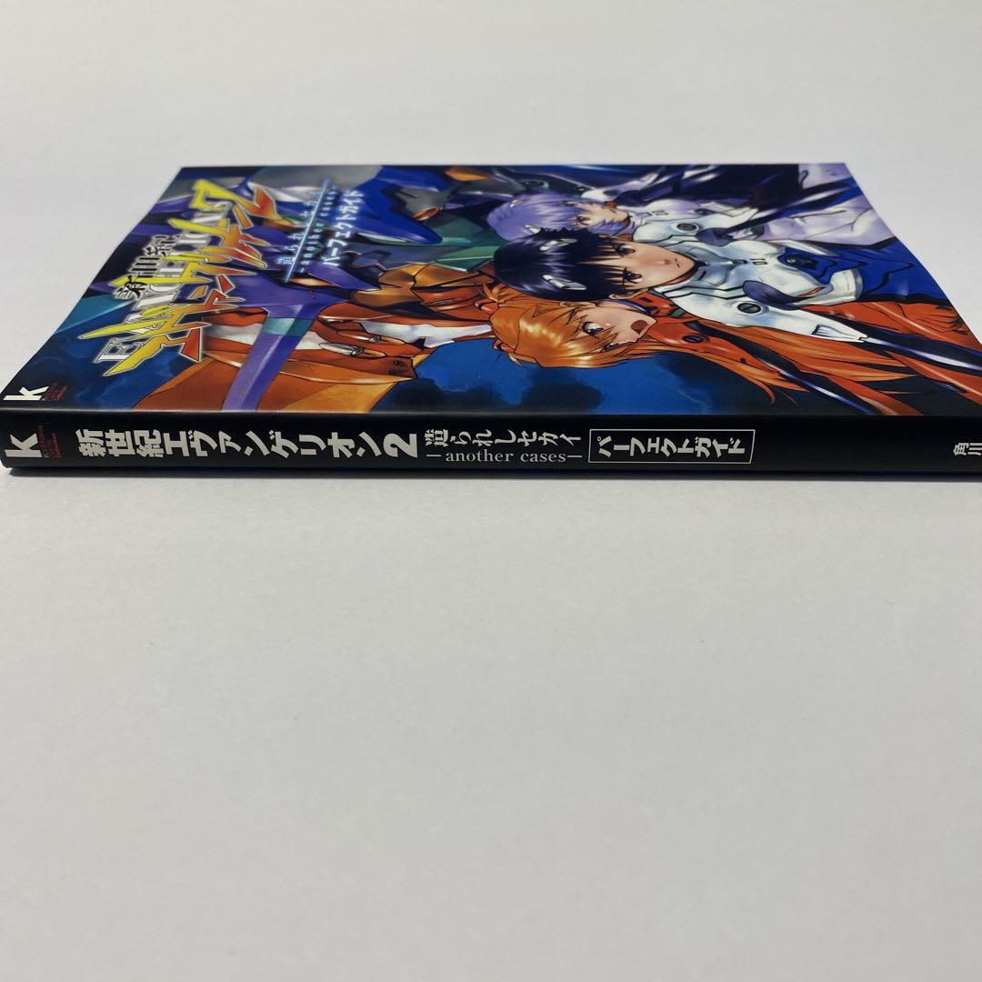 新世紀エヴァンゲリオン2造られしセカイ-another cases