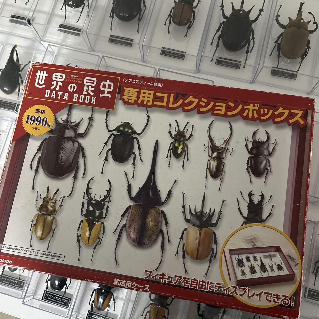 クワガタ　カブトムシ　標本セット 多数　デアゴスティーニ