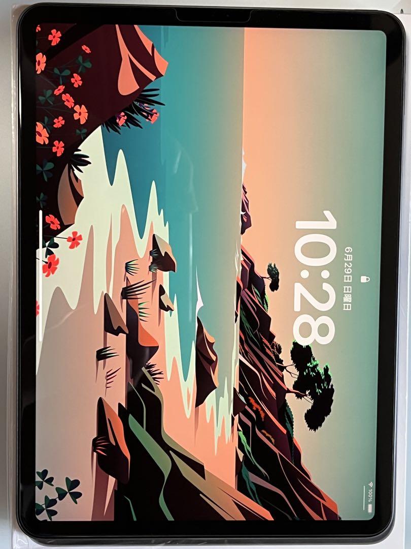 ipad pro 11インチ 第3世代 256GB スペースグレイ