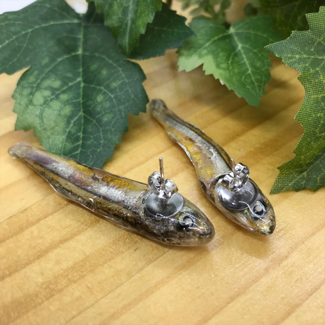 ピアス にぼし B