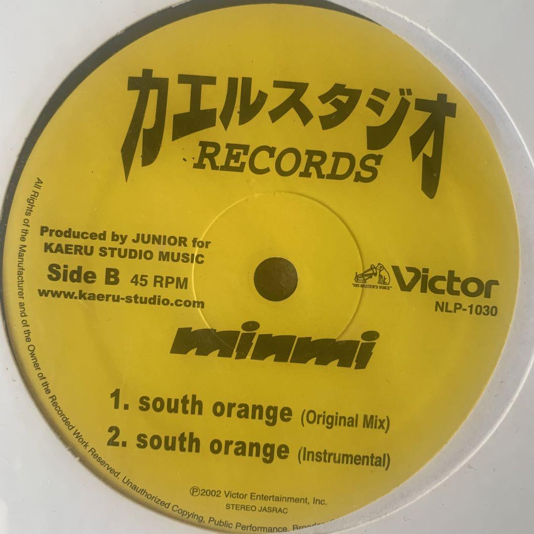 Minmi The Perfect Vision (Wicked Mix) レコード