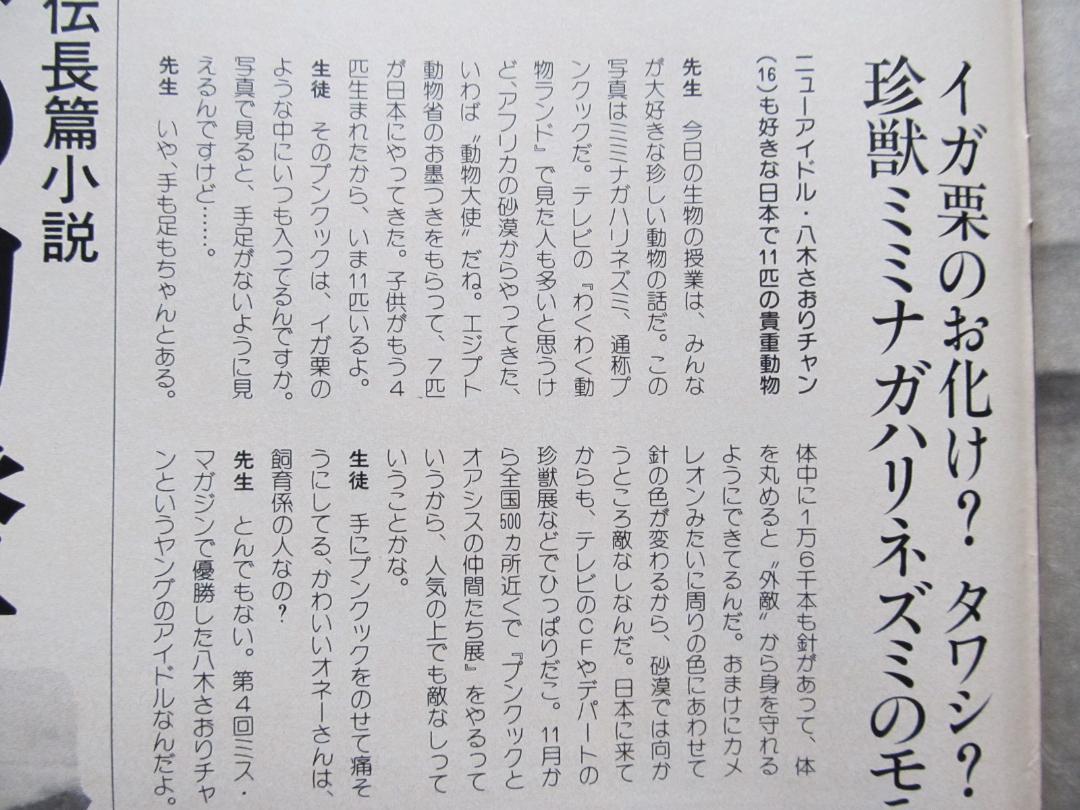 八木 小織 1985年〜1989年 大量 切り抜きファイル 2冊 120P