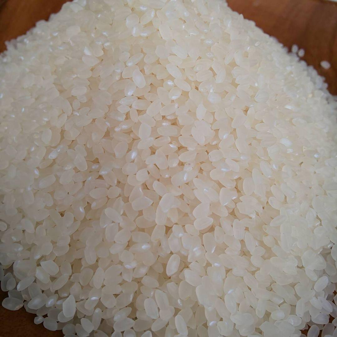 【綺麗な大粒】農薬不使用 化学肥料不使用 除草剤不使用 ヒノヒカリ 白米 5kg