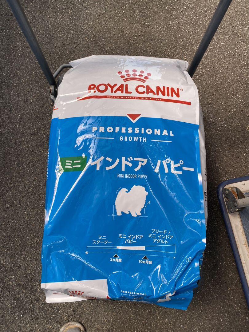 ロイヤルカナン犬　ミニインドアパピー　10キロ