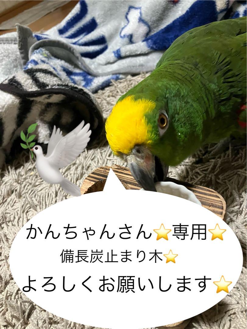 備長炭止まり木⭐️止まり木⭐️パーチ⭐️専用です♪(*゜∀
