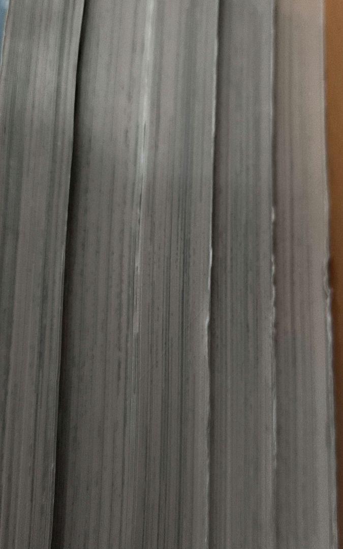 真弾劾凰聖伝　DOLL