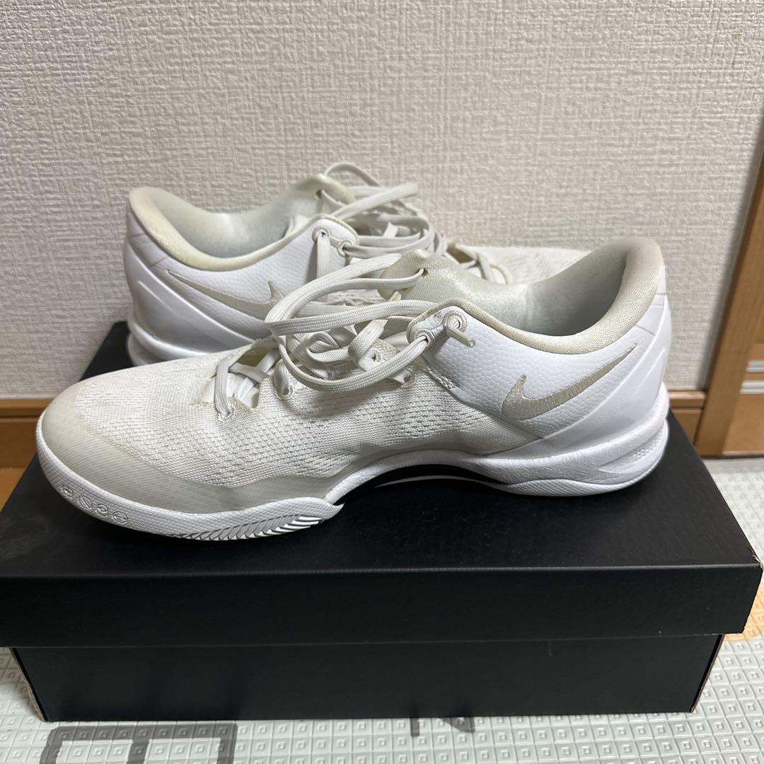 ズームコービー8 ヘイロー
