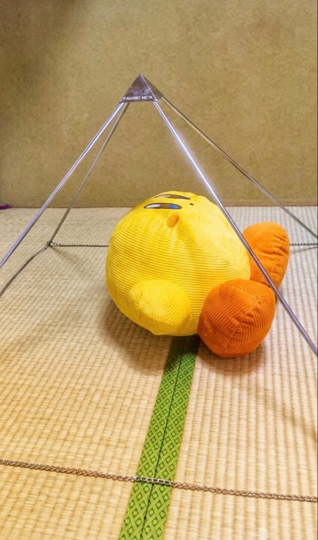 希少　PIRAMID GIZA (ピラミッドギザ)