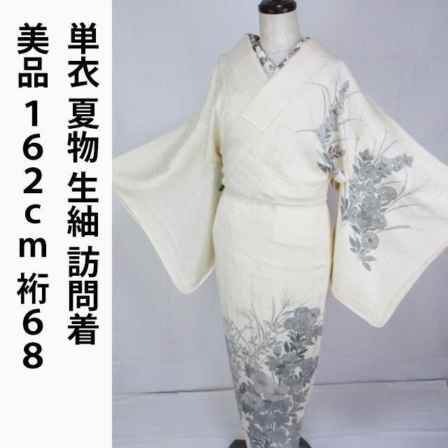 単衣＊夏物＊墨絵風＊夏模様＊生紬＊訪問着＊夏着物＊１６２ｃｍ＊裄６８