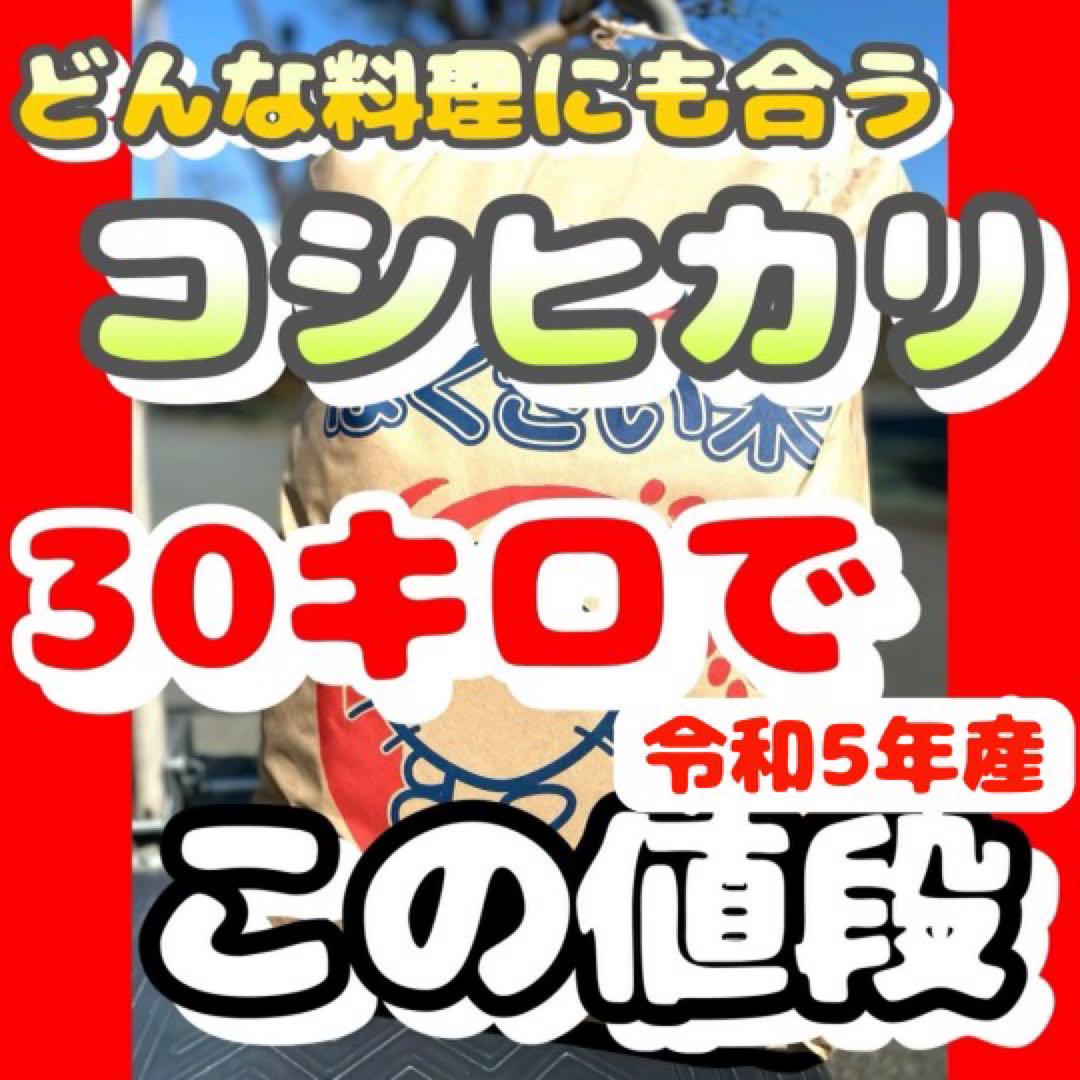 お米 30キロ コシヒカリ 精米 白米
